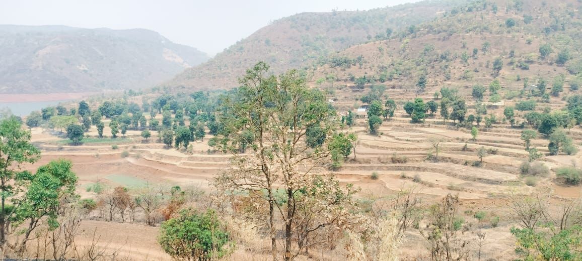 Morewadi Thoseghar land 