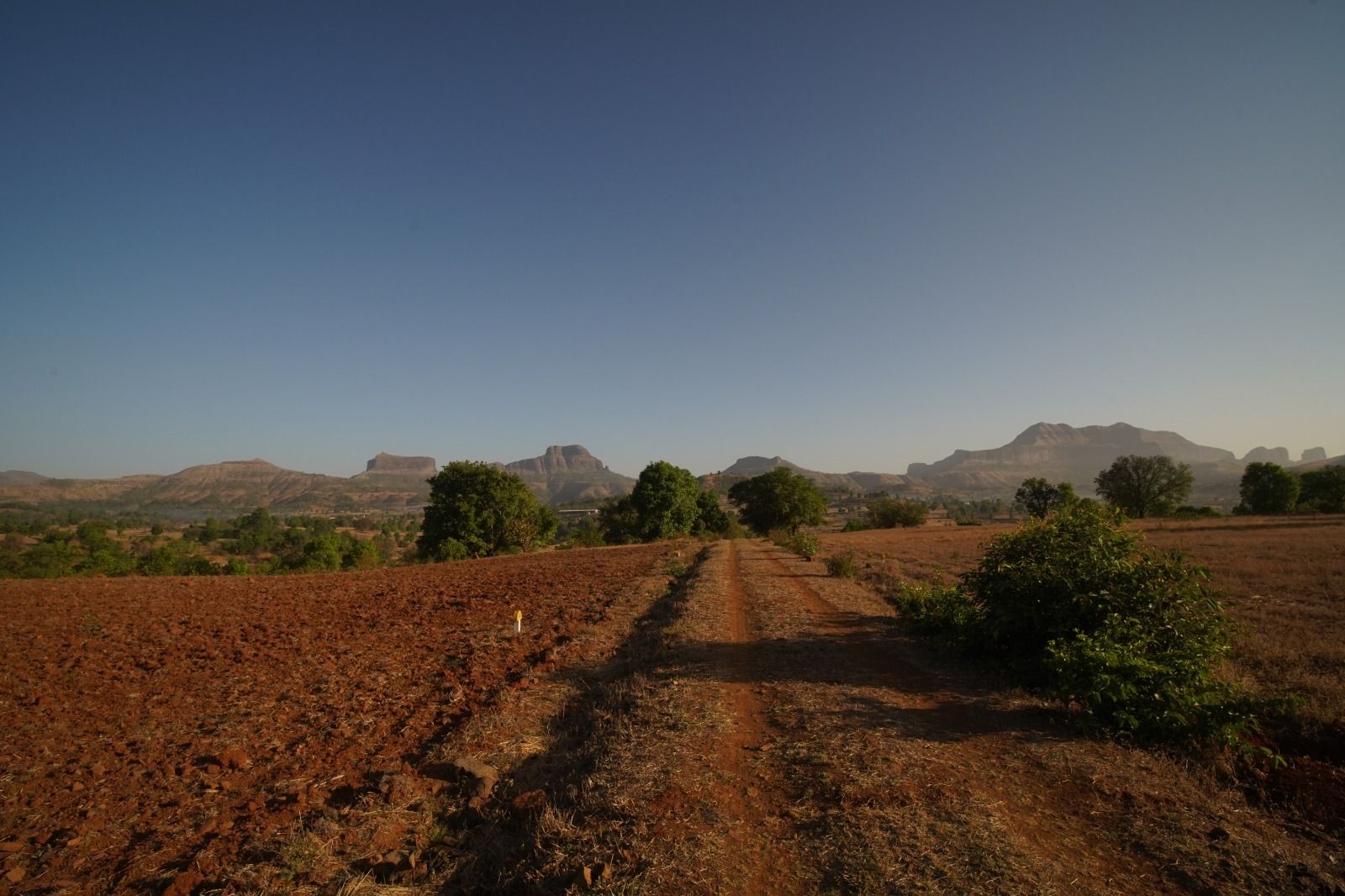 Subhadra Estate